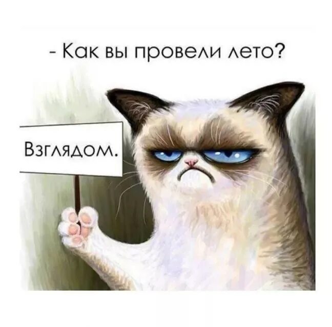 Как по моему у