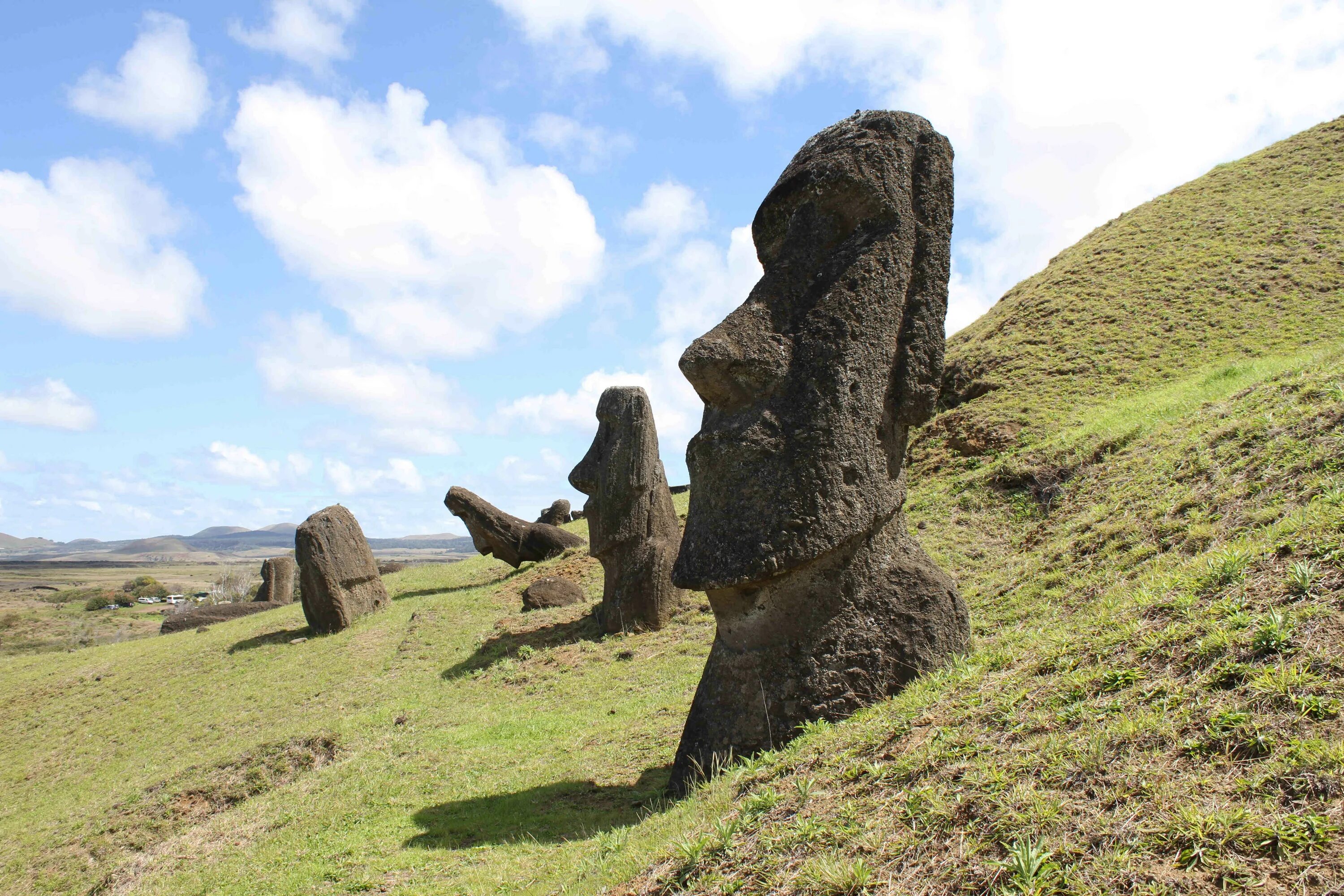 Статуи на острове. Каменные идолы острова Пасхи. Каменные великаны острова Пасхи. Остров Пасхи статуи. Статуи Моаи.