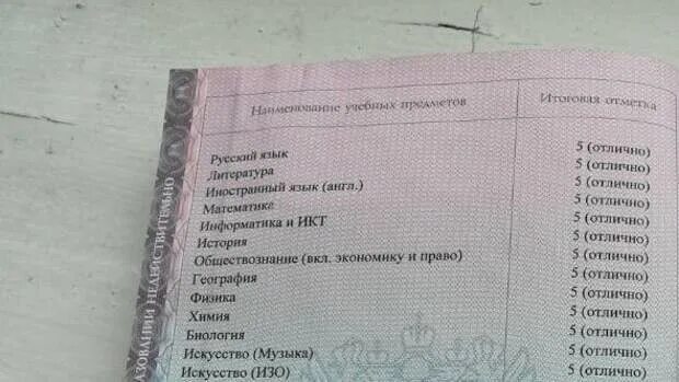 2 В аттестате. Ошибка в аттестате. Аттестат с 2 двойками. Аттестат в крови. Сгорел аттестат