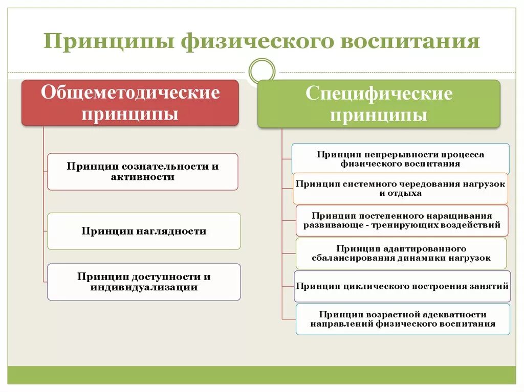 Общие методические и специфические принципы физического воспитания. В физическом воспитании к специфическим относят принципы:. Общие принципы физ воспитания. К принципам физического воспитания не относится принцип.