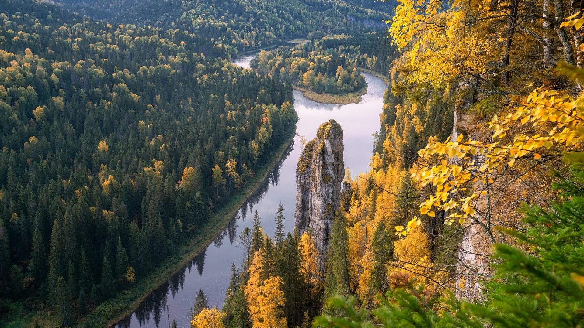 Тайга пермь. Тайга пермь. Тайга летом пермь. Леса пермского края. Река усьва пермский край.