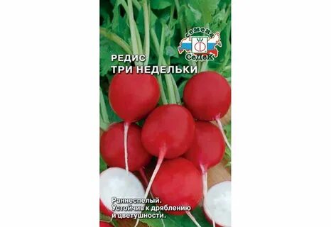 Редиска 3