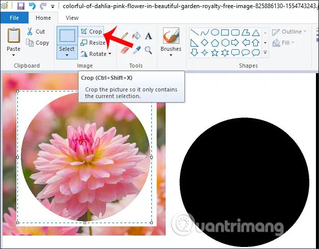 Как обрезать в paint. Вырезать круг в paint. как вырезать картинку по кругу в paint. как обрезать в поинте фото по кругу. обрезать кругом в паинте.