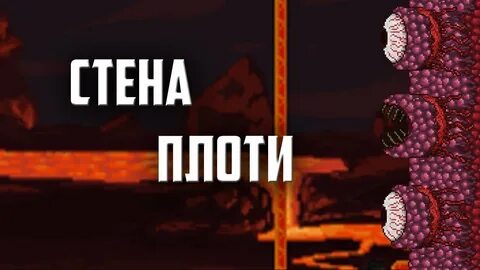 Стена кто победил