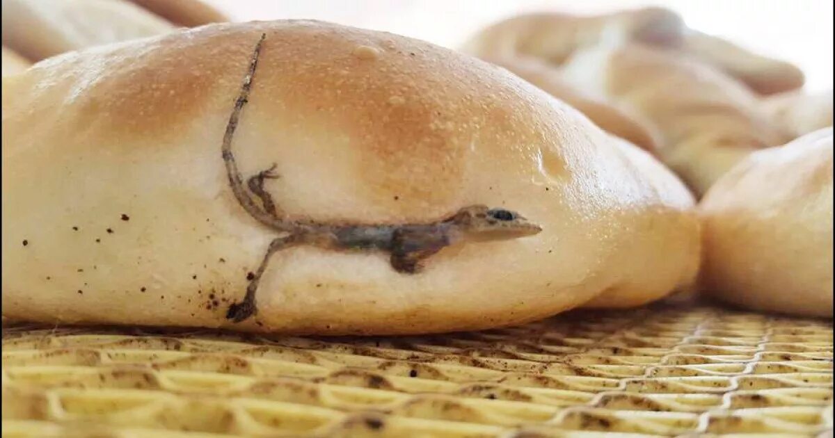 T me making bread европа. Хлеб мем. мемы про хлеб. котохлеб мем. baking bread meme.