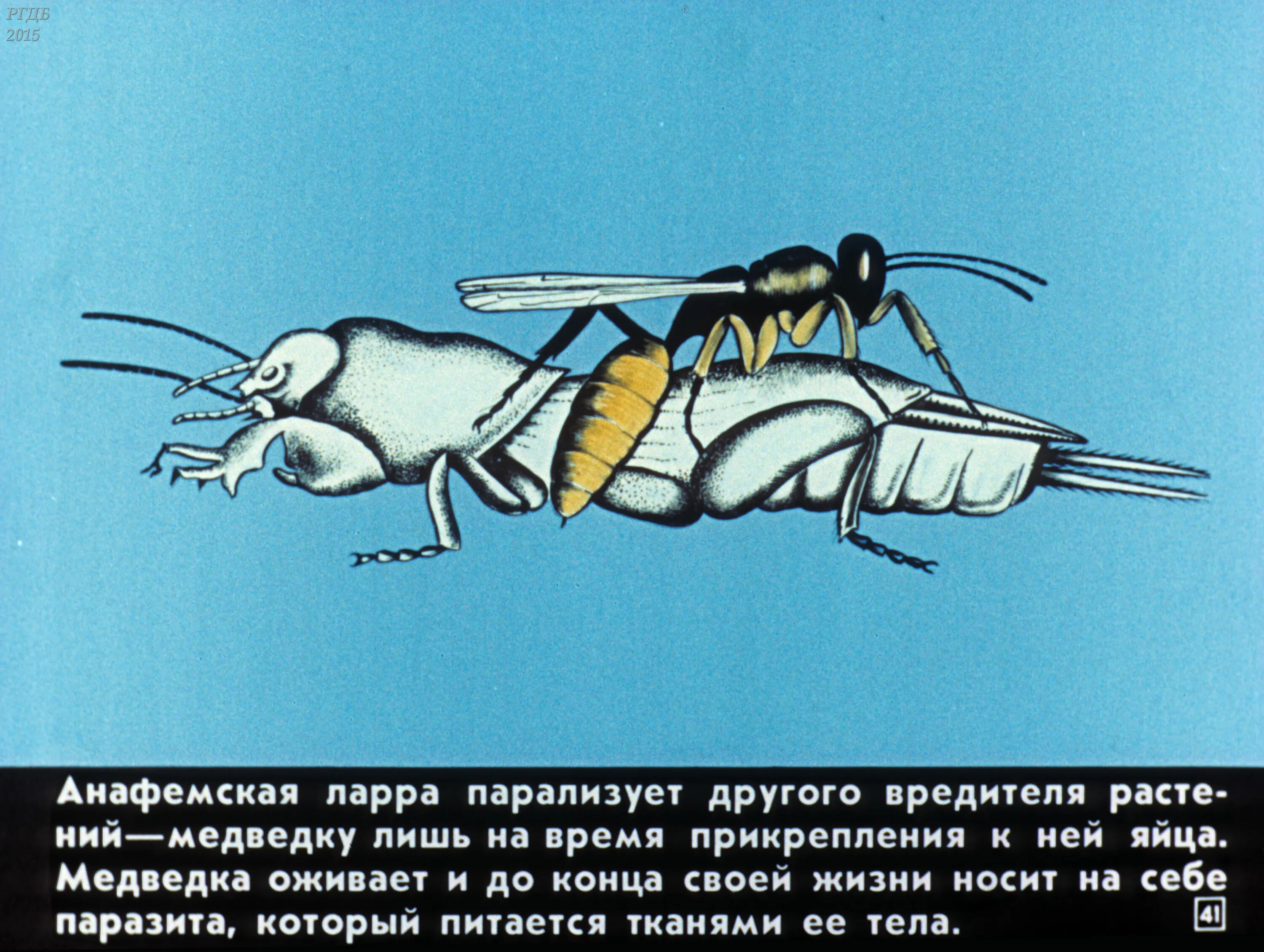 Скорее б