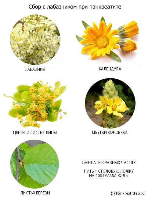 Какую зелень можно при панкреатите. Растения при панкреатите. Салаты при псориазе. Травяной сбор для поджелудочной железы. Фрукты и овощи разрешенные при панкреатите.