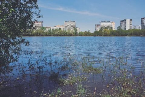 Жк головинские пруды