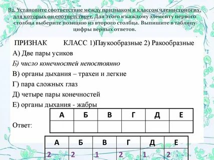 Соответствие между характеристиками и классами членистоногих
