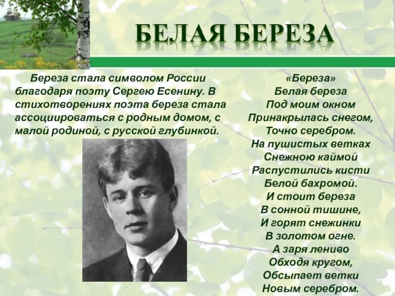 стихи есенина о россии. символы есенинской поэзии. есенин я последний поэт деревни текст. символы в стихах есенина. творчество есенина картинки.
