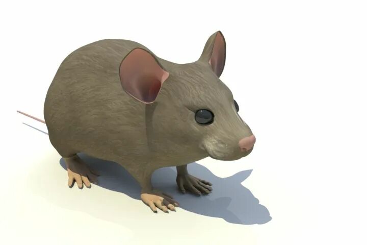 Мышка 3д модель. Мышь STL. Мышь 3d модель. Мышка для 3d моделирования.