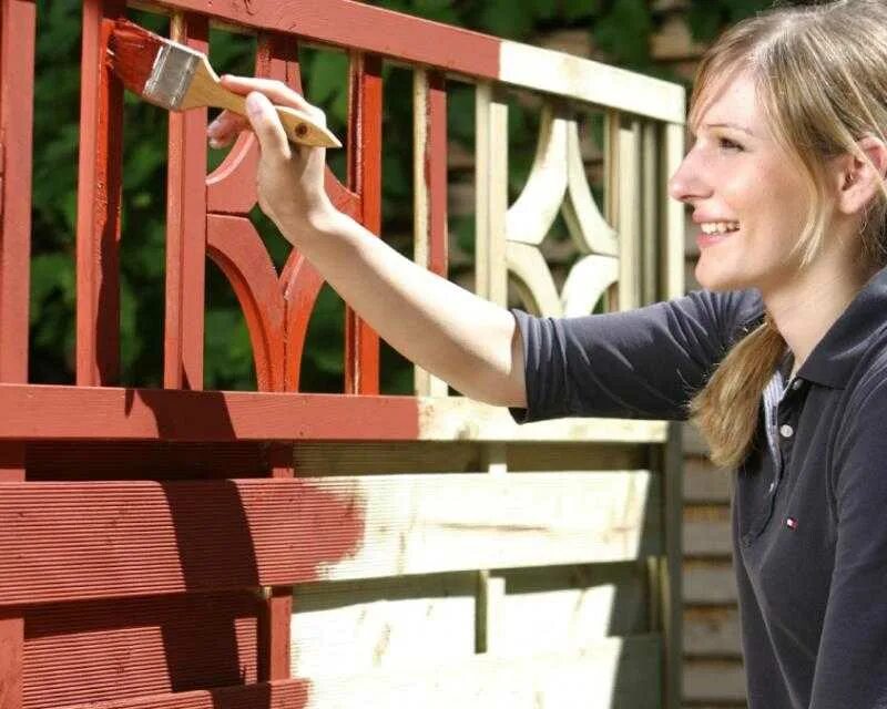 Красит забор. Покраска забора деревянного. Покраска забора. Покраска забора на даче. Картинка женщина красит забор.