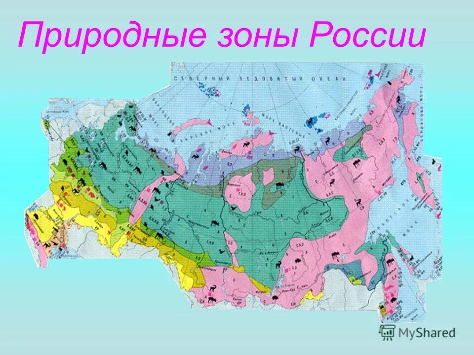 Поверхность природной зоны. Природные зоны России. Карта природных зон. Карта зон России. Карта природных зон РФ.