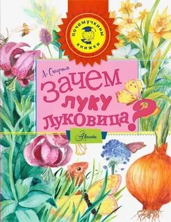 Книг луки