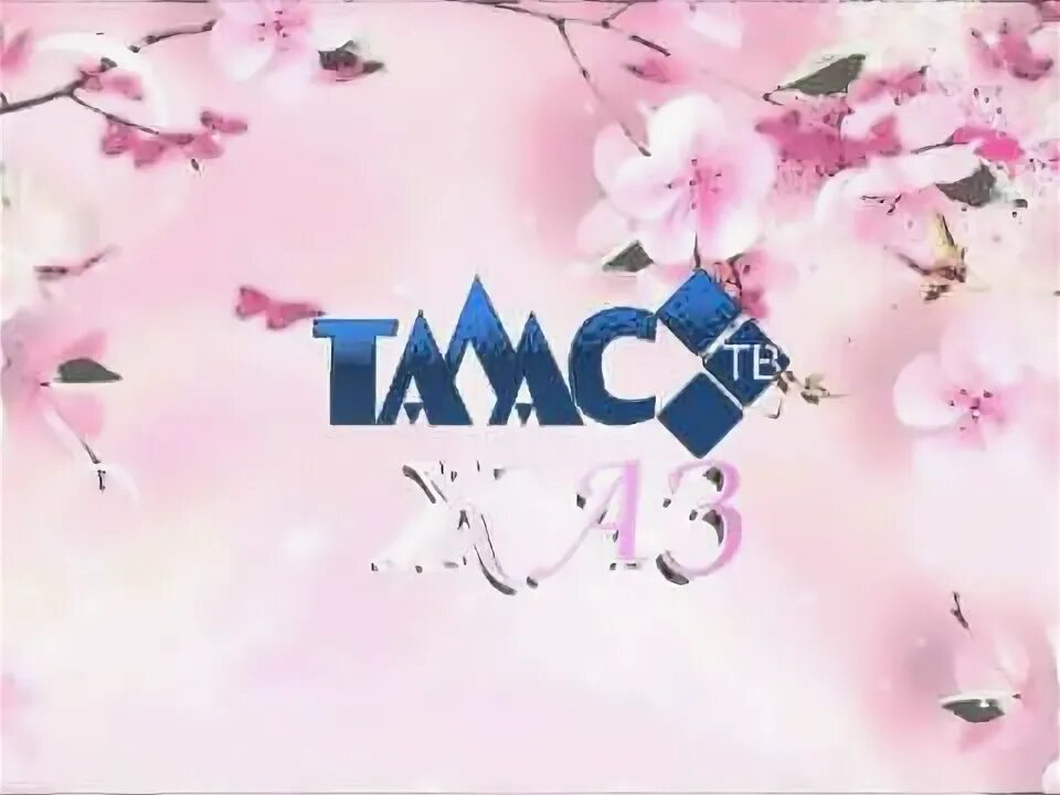Тв кок. Тв кок