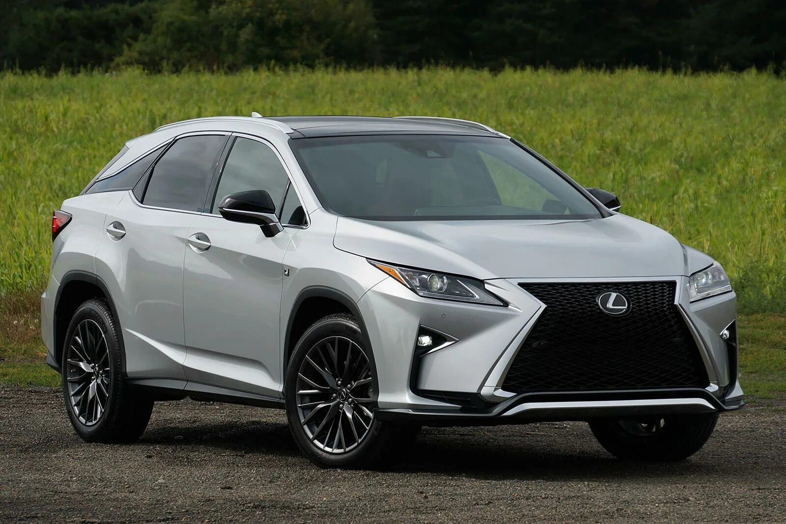 Lexus rx 100. Лексус рх 200т. лексус рх 350 2016. лексус рх 250. lexus rx200 2016.