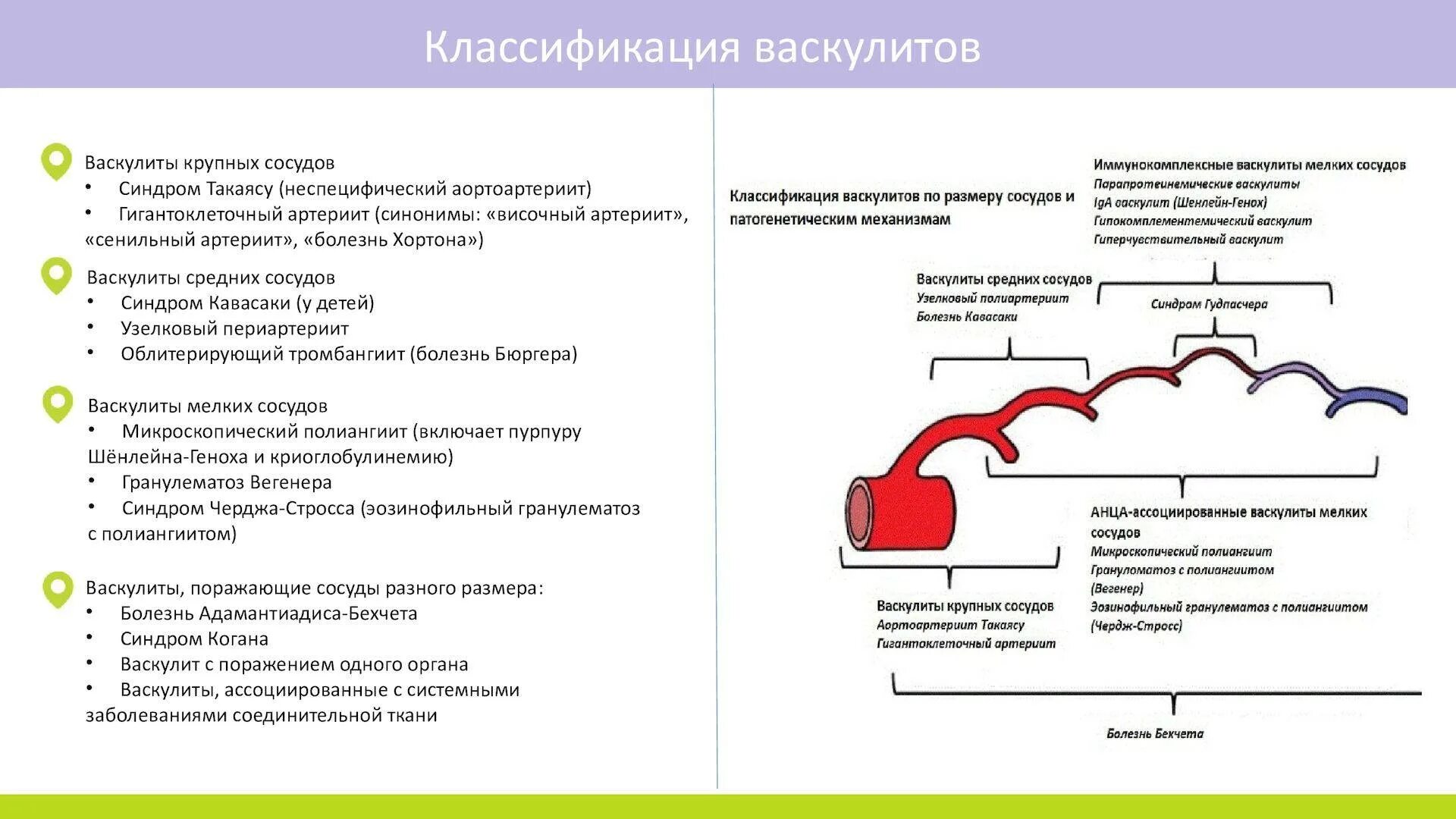 Васкулит мкб у детей. Васкулит мкб у детей