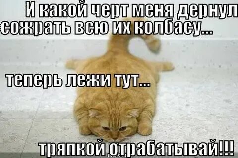 Песня толи дернул меня бес