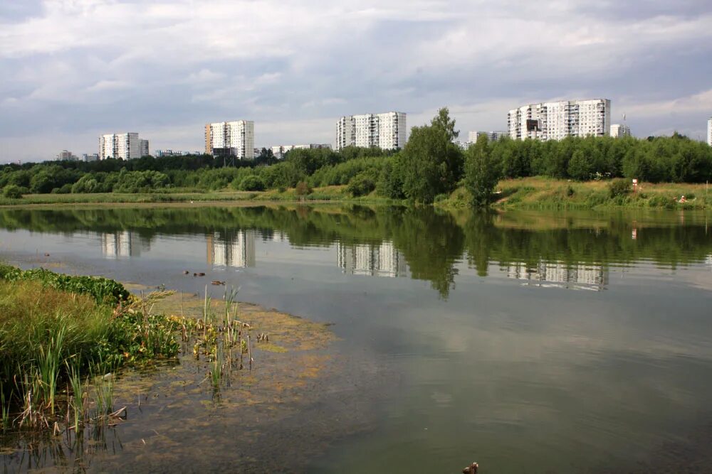 Ясенево отдых. Битца парк пруды. Ясенево пруд Битцевский парк. Зона отдыха Битца Ясенево. Битца пруды пляж.