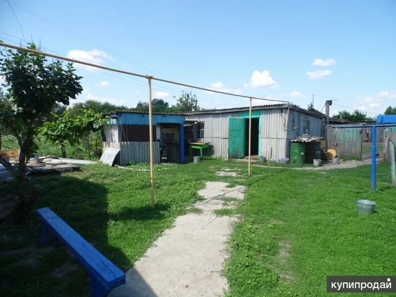 Погода красные липки