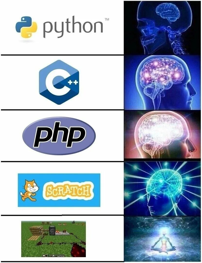 Мемы про питон язык программирования. Языки программирования Мем. Мемы про языки программирования. Приколы про языки программирования.