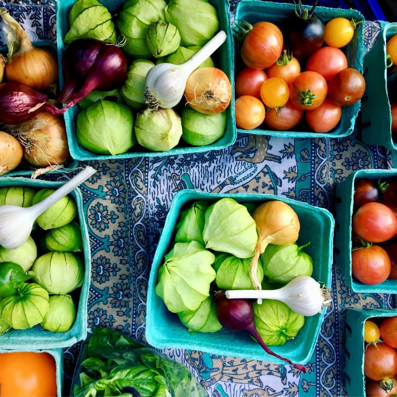 Цена овощей за кг. Овощи и фрукты. Овощ на ц. Самый красивый овощ на земле. Когда подешевеют овощи.