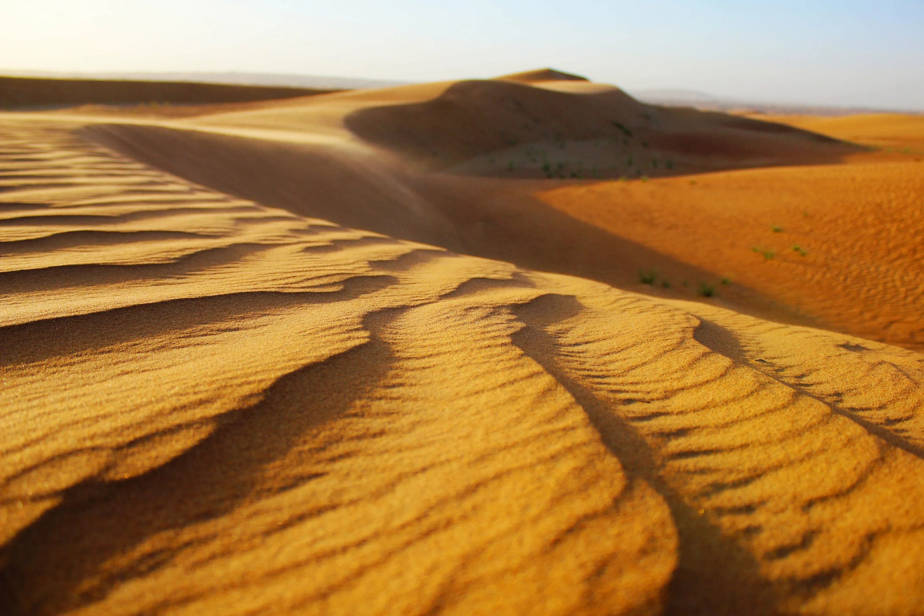Пустыня побед. Рельеф пустыни и полупустыни. Эль ХАМРА пустыня. Рельеф пустыни и полупустыни в России. Полупустыни и пустыни рельеф почвы.