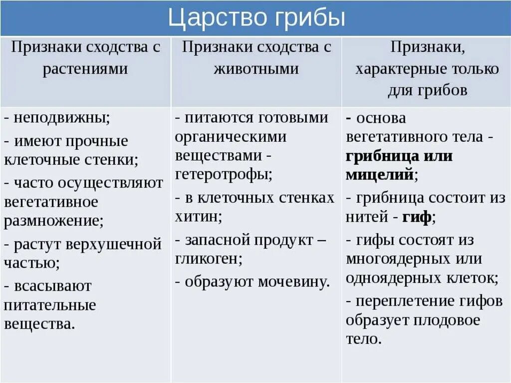 Общие признаки грибов с растениями и животными таблица. Какие Общие признаки у грибов с растениями и животными. Признаки сходства грибов с растениями и животными. Признаки растений и животных у грибов таблица.