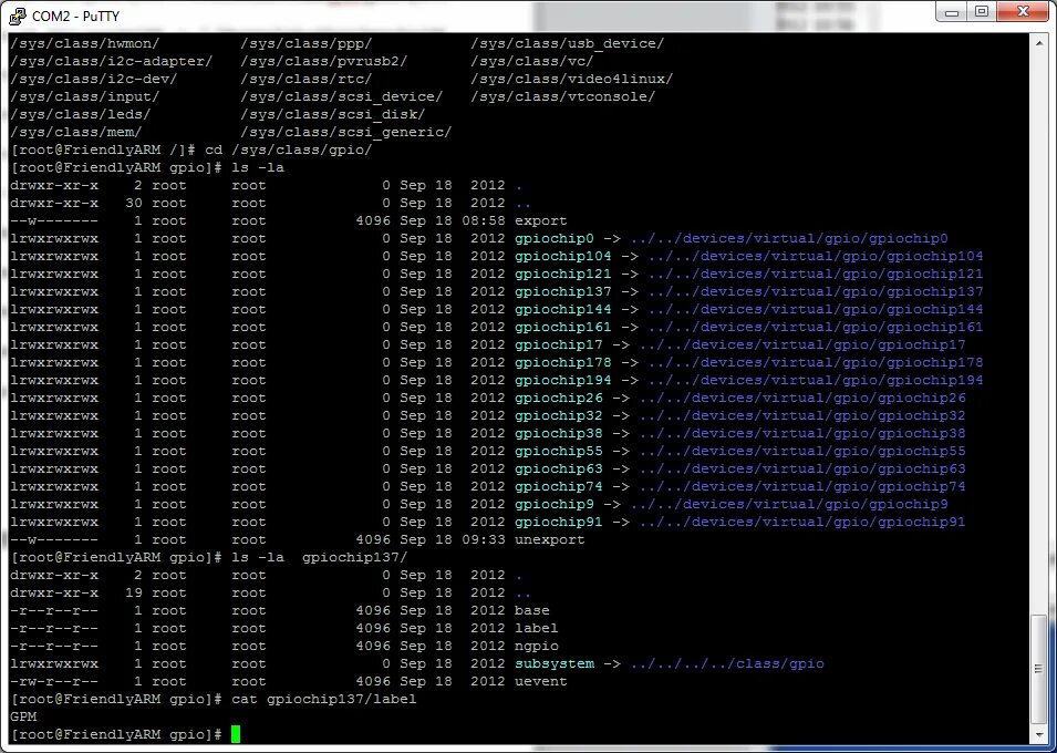 Linux GPIO. Ассемблер линукс. Тестирование процессора Linux. Arm процессор Linux. Sys devices