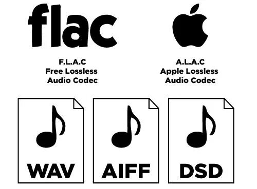 Flac что это