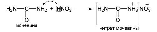 Синтез нитратов. Мочевина с азотной кислотой. Взаимодействие мочевины с азотной кислотой реакция. Мочевина + hno3. Мочевина с азотистой кислотой реакция.