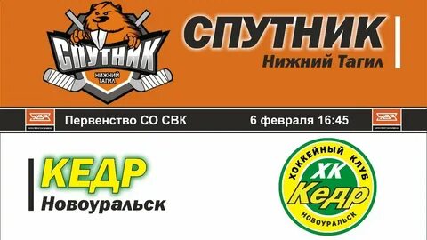 Кедр новоуральск