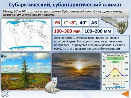 Летом положительные температуры устанавливаются в северной америке