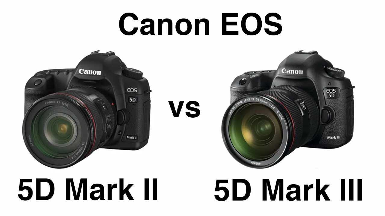 Canon mark сравнение. Canon 6d Mark II. Canon 5d vs 5d Mark II. 5d Mark II vs 5d Mark III. Canon EOS 5d Mark III сравнение.