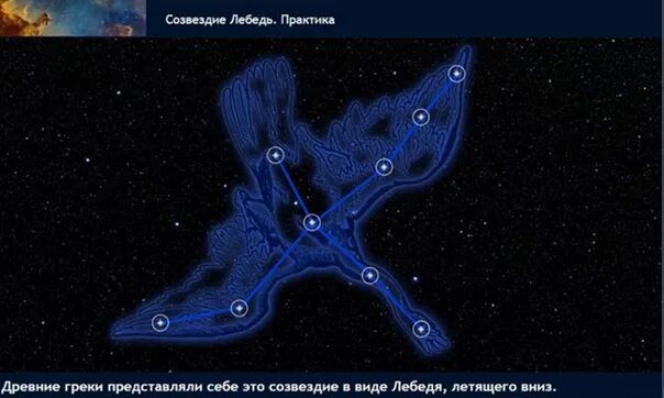 Регрессия падшего созвездия 103. Созвездие лебедь. Созвездие лебедь фото. Модель созвездия лебедь. Созвездие лебедь для детей.