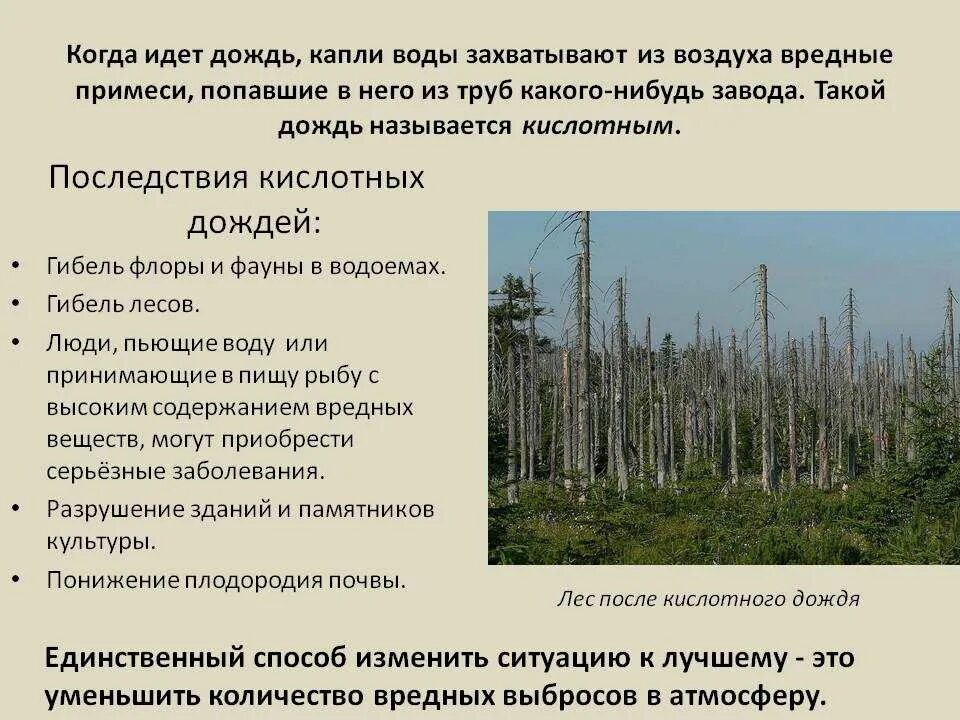 Какой вред приносит дождь окружающий мир. Последствия кислотных дождей. Последствия возникновения кислотных дождей. Кислотные дожди вредные последствия. Последствия кислотных дождей кратко.