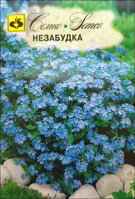 Незабудка Семко. Незабудка цветок семена. Незабудка сорта. Незабудки смесь сортов.