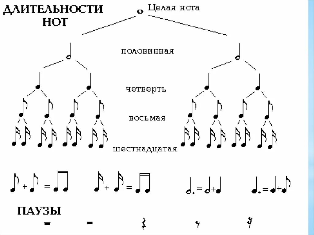 Корневая нота. Длительности нот таблица. Длительности нот и пауз таблица. Таблица деления длительностей нот. Таблица длительностей сольфеджио.