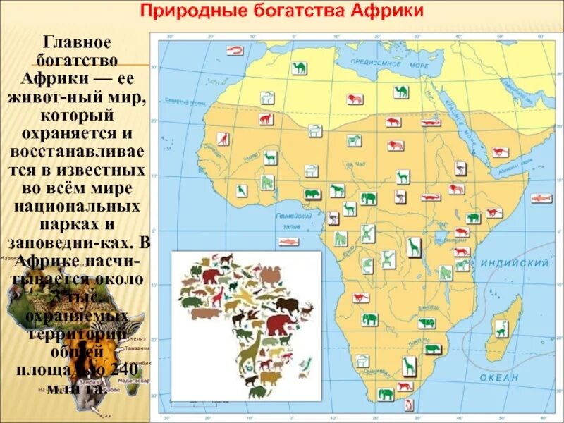 Какими богатыми ископаемыми богата африка. Карта национальных парков Африки. Природные богатства Африки. Богатства Африки. Богатства Африки природные богатства.