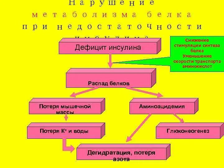 Недостаток синтеза инсулина. Нарушение белкового обмена при дефиците инсулина. Гипераминоацидемия биохимия. Аминоацидемия это. Аминоацидемия и ацидурию.