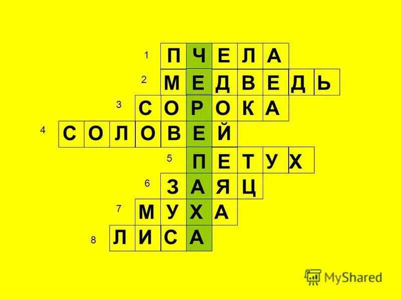 П ч е л а. П ч е л а