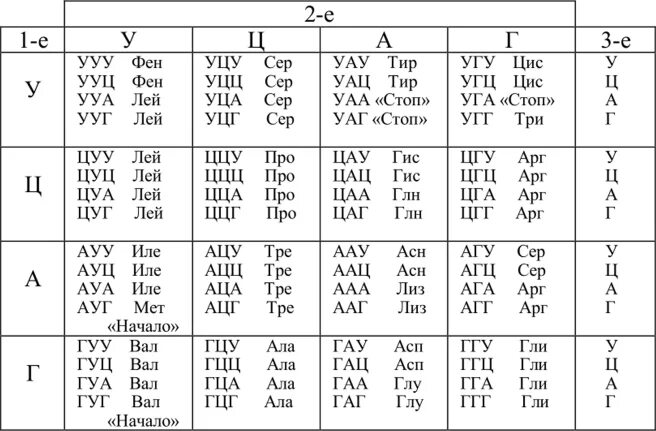Таблица генетического кода ИРНК. Таблица кодонов аминокислот РНК. Биология таблица кодонов. Таблица генетического кода по биологии ИРНК.