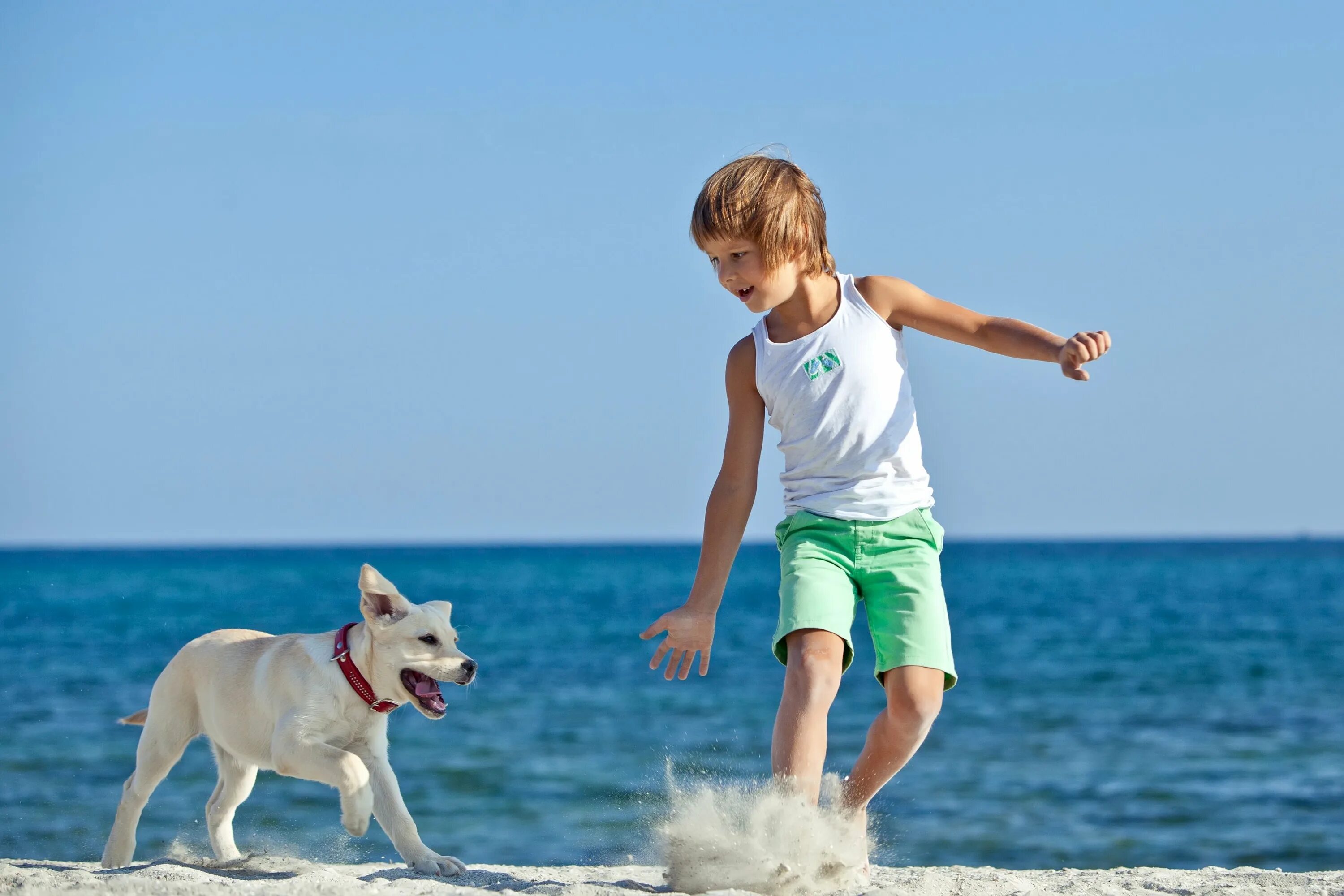 C more play. Мальчик с собакой. Ребенок с собакой на море. Собака для детей. Дети с собакой на пляже.