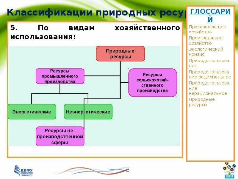 Виды использования природных ресурсов. Классификация природных ресурсов. классификация природных ресурсов по видам. классификация природных ресурсов по виду ресурсов. хозяйственная классификация природных ресурсов.