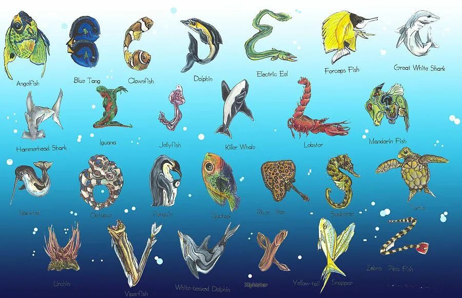 Морские животные алфавит. Буквы в виде морских обитателей. Морская Азбука для детей. Азбука морские обитатели.