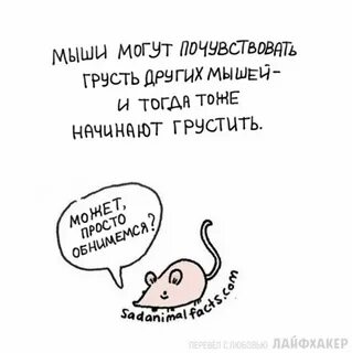Милые факты