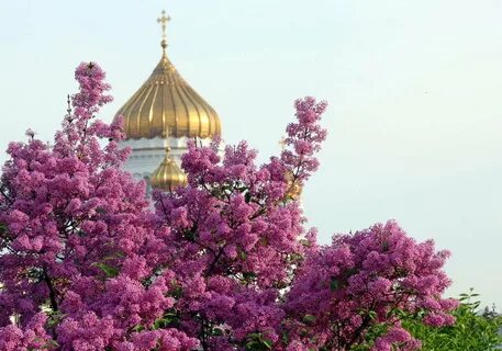 Храм в цветах