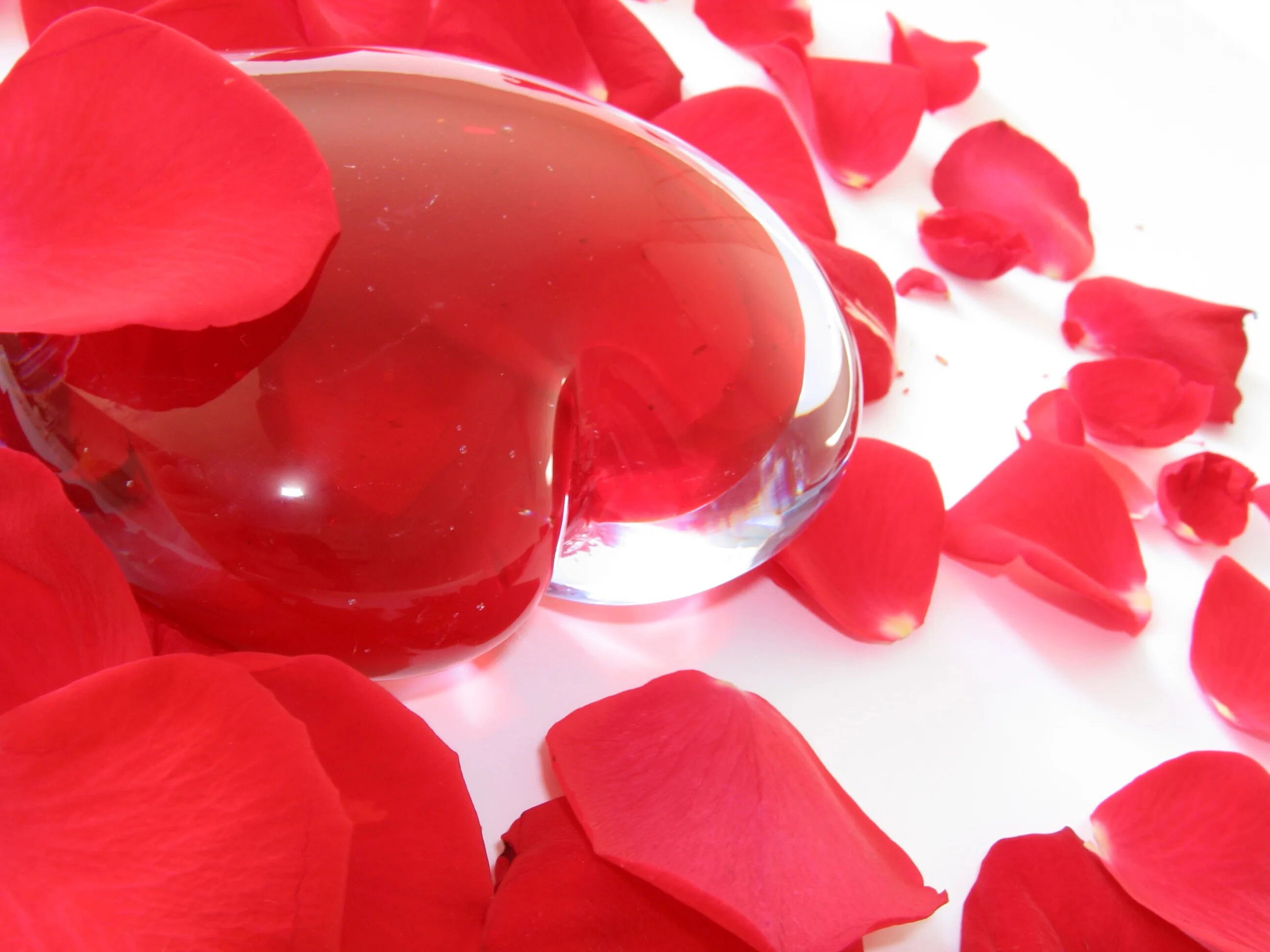 красивые парочки. сердечки любимому. счастливые пары. пара влюбленных. люблю красивые фотки.