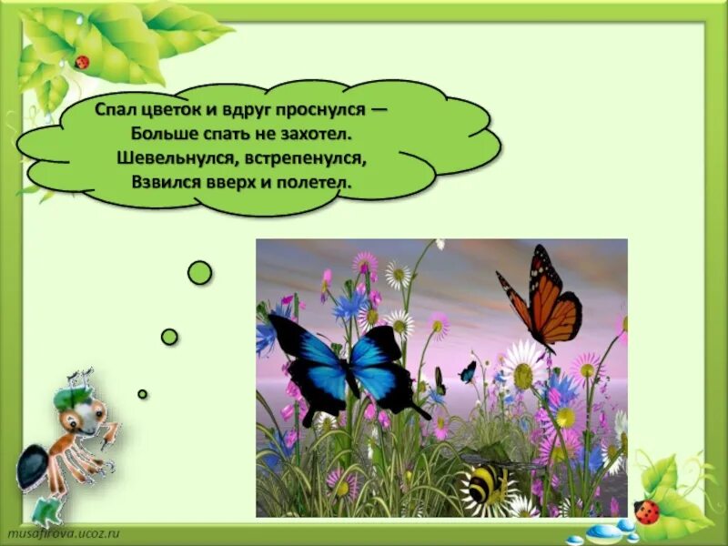 Взаимосвязь бабочек и цветов. Почему нельзя рвать цветы и ловить бабочек. Нельзя рвать цветы и ловить бабочек 1 класс. Спал цветок и вдруг проснулся.