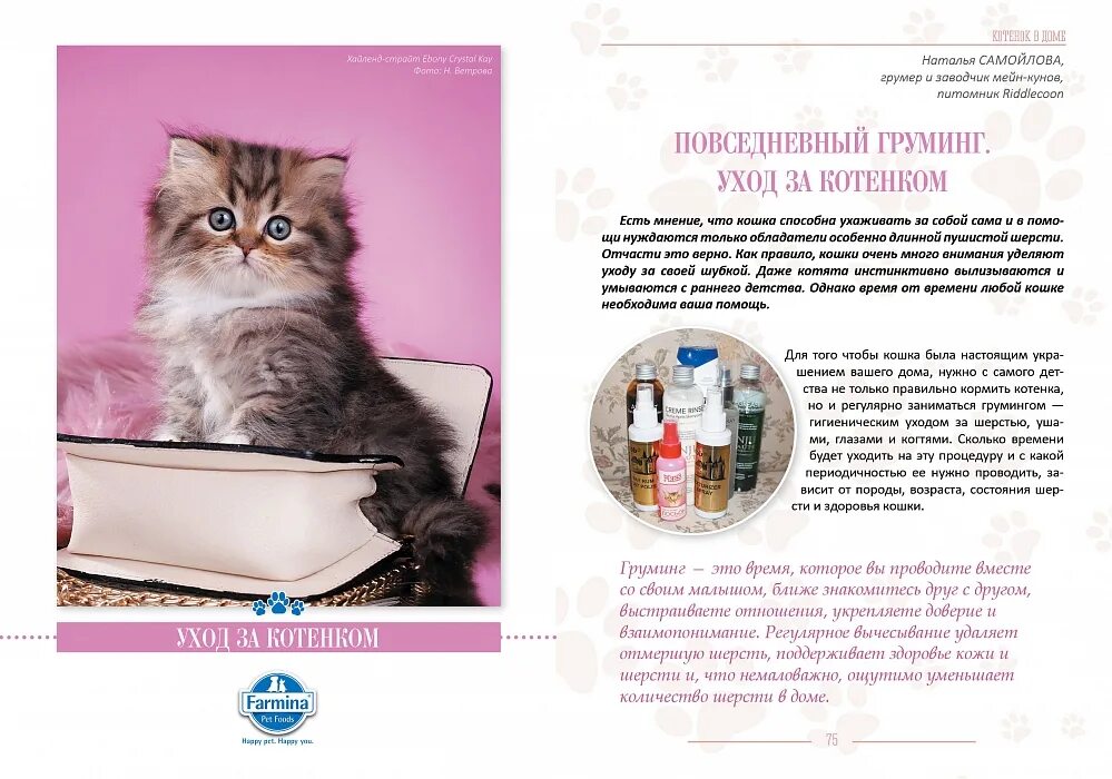 Котенок уход и содержание. Интерактивный журнал котята. дневник уход за котёнком. журнал с котятами. детский журнал котята.